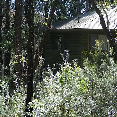 Twin Falls Bush Cottages Fitzroy Falls 외부 사진