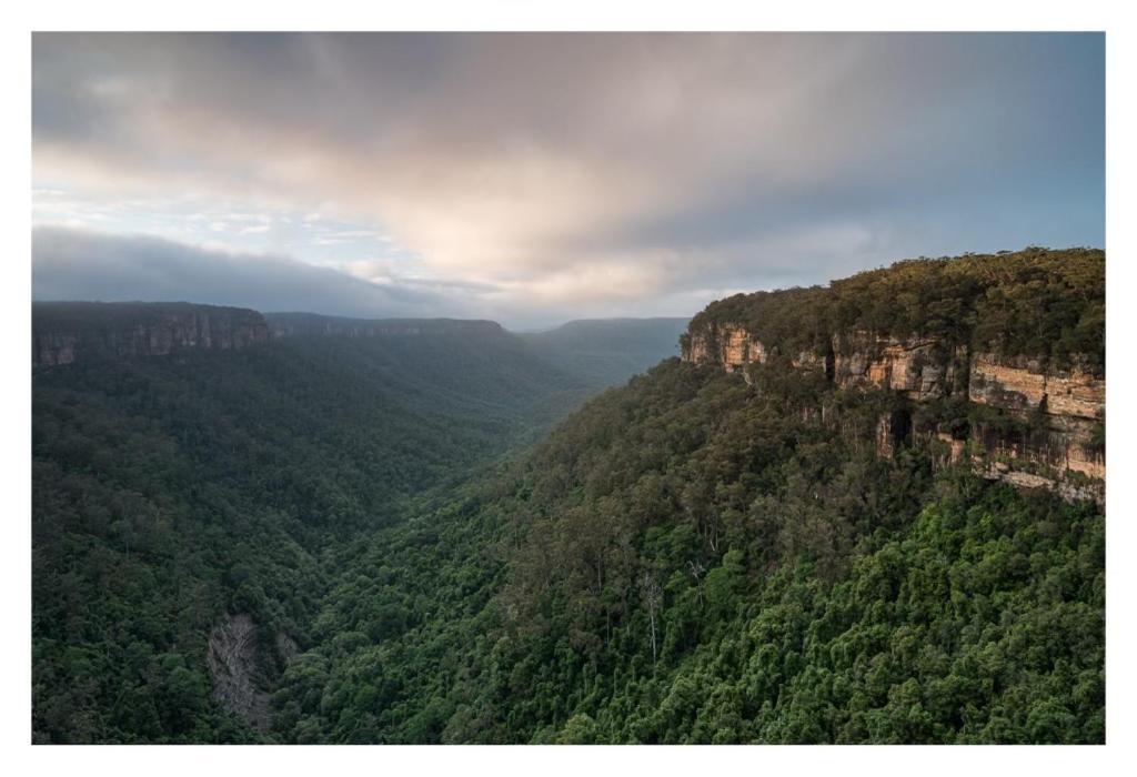 Twin Falls Bush Cottages Fitzroy Falls 외부 사진