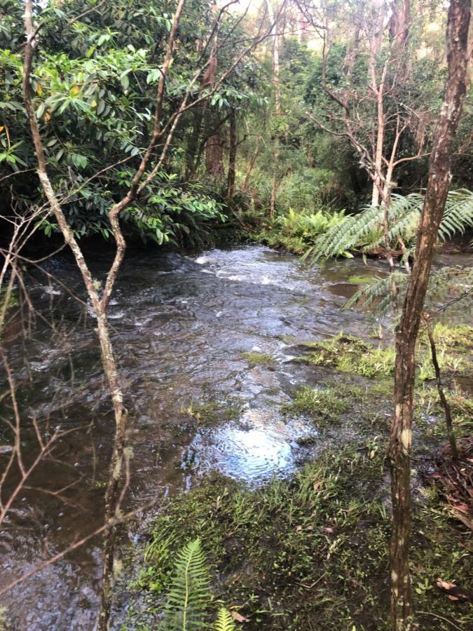 Twin Falls Bush Cottages Fitzroy Falls 외부 사진