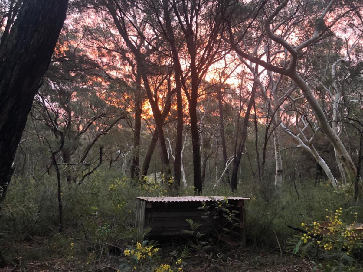 Twin Falls Bush Cottages Fitzroy Falls 외부 사진