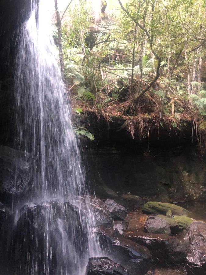 Twin Falls Bush Cottages Fitzroy Falls 외부 사진