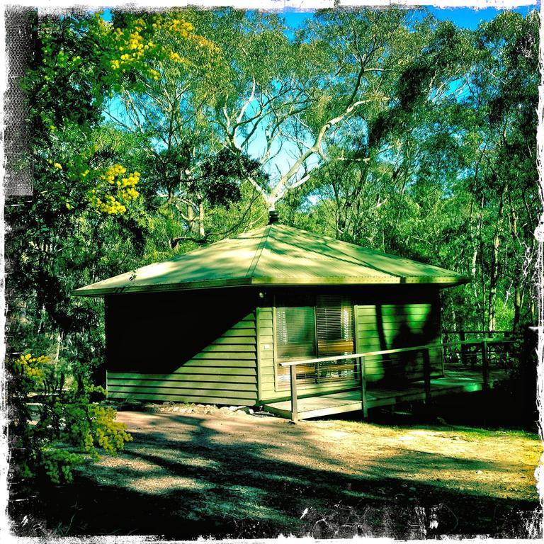 Twin Falls Bush Cottages Fitzroy Falls 객실 사진