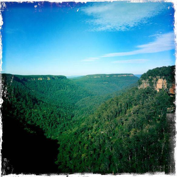 Twin Falls Bush Cottages Fitzroy Falls 객실 사진