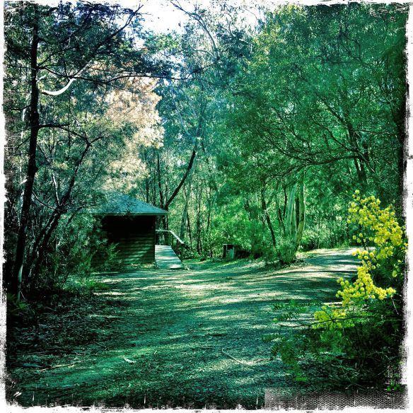 Twin Falls Bush Cottages Fitzroy Falls 객실 사진