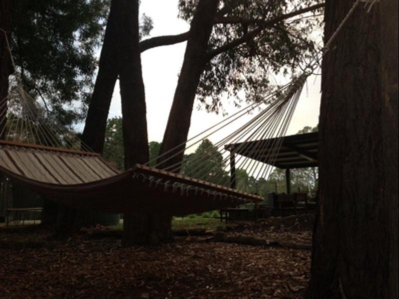 Twin Falls Bush Cottages Fitzroy Falls 외부 사진