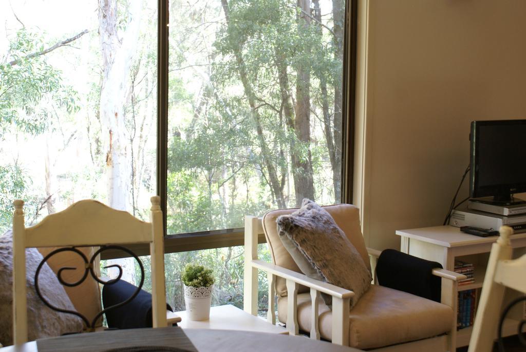 Twin Falls Bush Cottages Fitzroy Falls 외부 사진