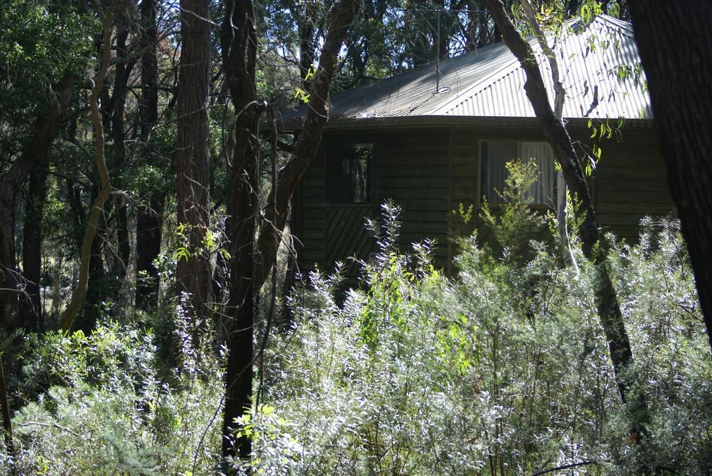 Twin Falls Bush Cottages Fitzroy Falls 외부 사진
